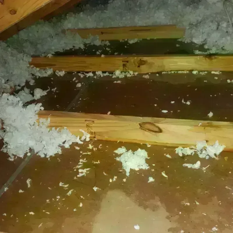 Attic Water Damage in Thomas, OK