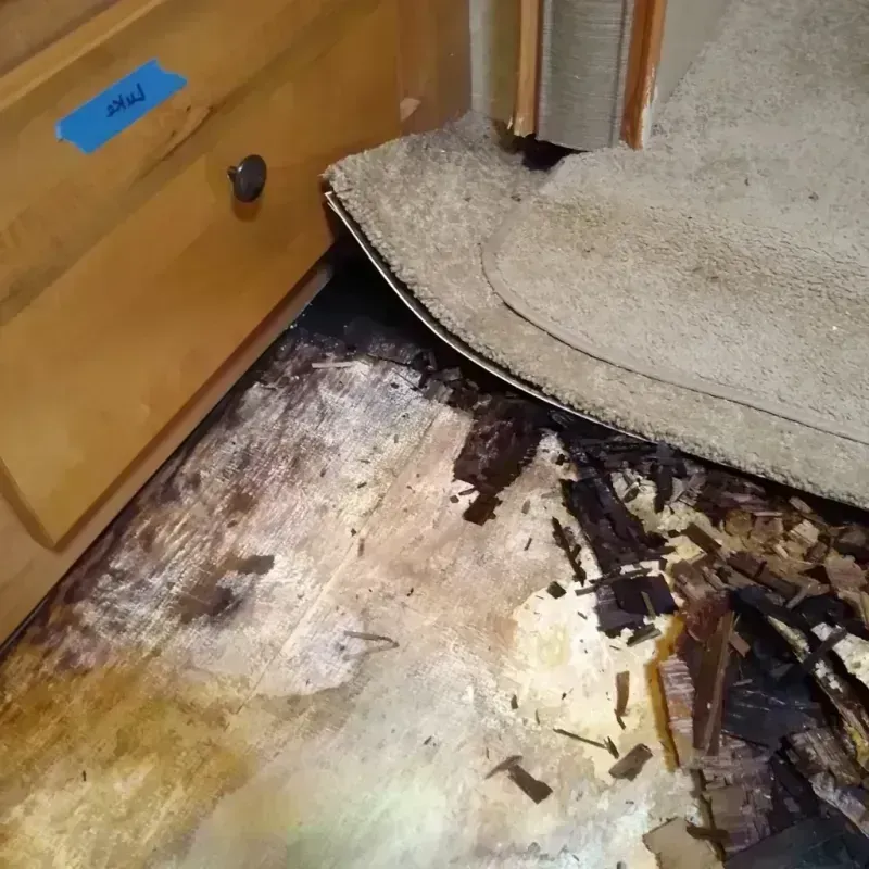 Wood Floor Water Damage in Thomas, OK